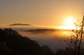 misty golden sunrise